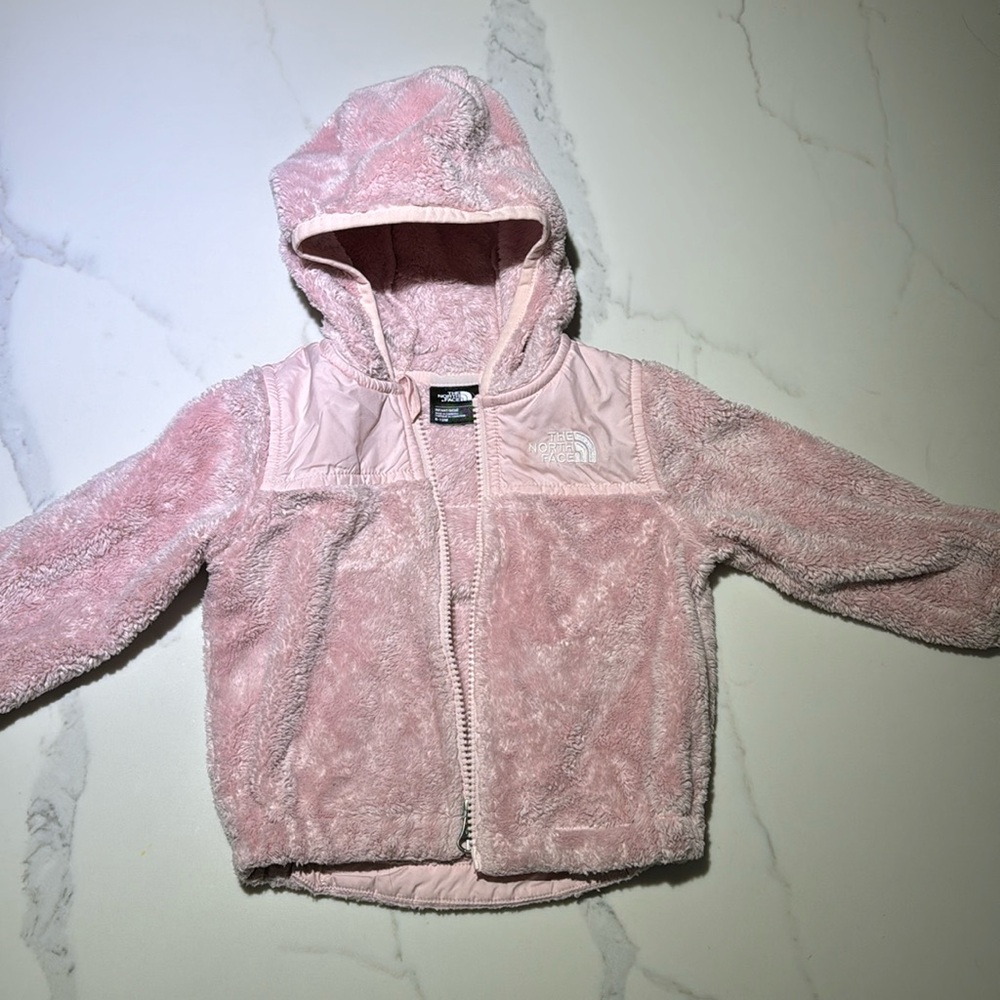 The North Face hooded fleece